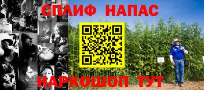 прущие крисы Туймазы