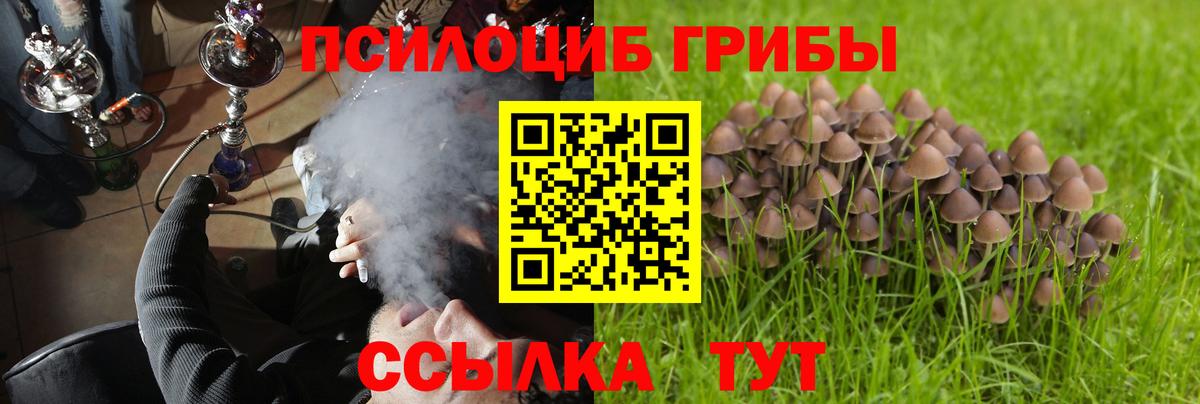 Галлюциногенные грибы Cubensis Батайск
